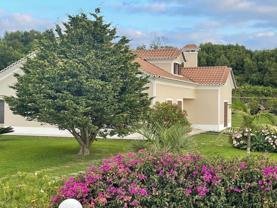 Azores Green Nature Rabo de Peixe Exteriör bild